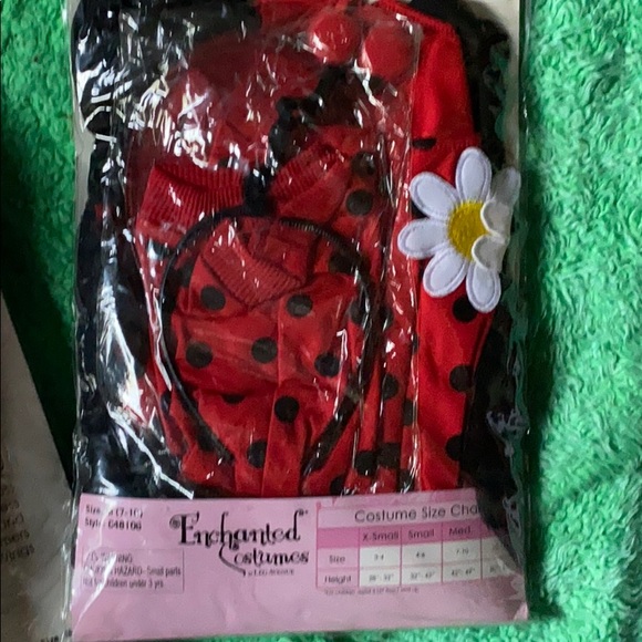 Daisy Bug lady bug costume - Picture 3 of 3